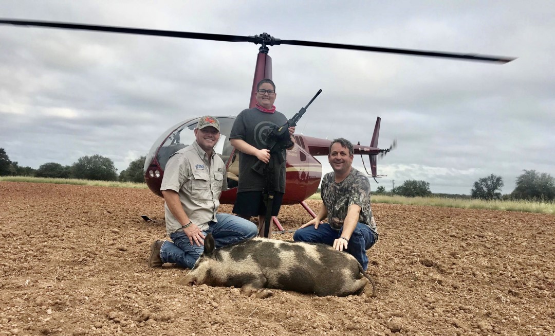 Helicopter hog hunting